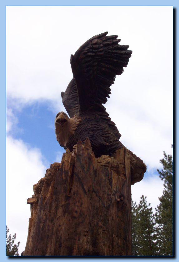 2-13 eagle  perched, half-spread wings-archive-0003